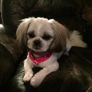 Meet your Posher, Nathalie